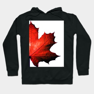 Maple Hoodie